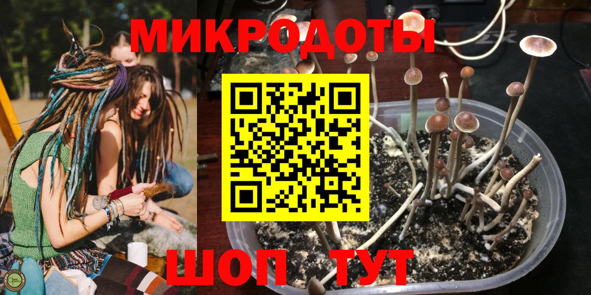 Коркино  Псилоцибиновые грибы Psilocybe  Вход с VPN  Галлюциногенные грибы Psilocybine cubensis 