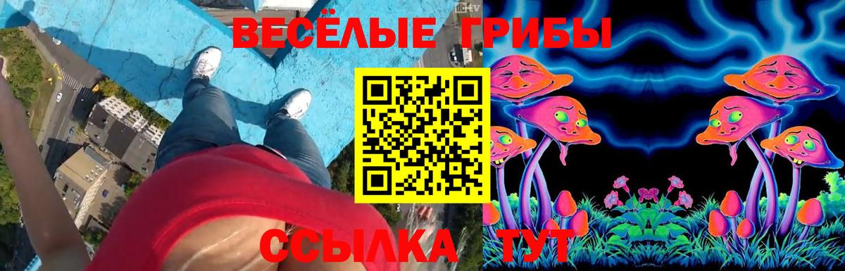 Псилоцибиновые грибы GOLDEN TEACHER Коркино